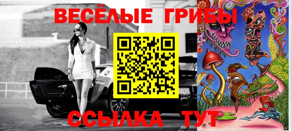 Псилоцибиновые грибы Psilocybe Астрахань