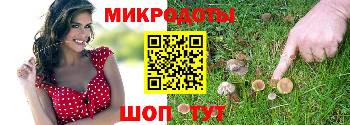 Псилоцибиновые грибы GOLDEN TEACHER  Вход с VPN  Псилоцибиновые грибы GOLDEN TEACHER  Астрахань 
