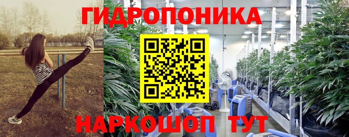 Конопля Bruce Banner Астрахань
